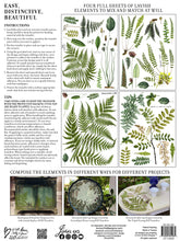 Load image into Gallery viewer, IOD Transfer - Fronds Botanical
